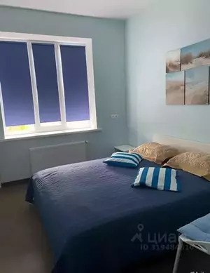 Фото к объявлению #22088498