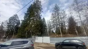 Фото к объявлению #22244260