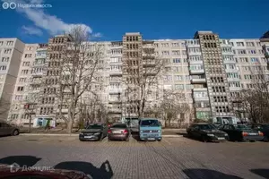 Фото к объявлению #21967131