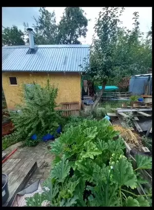 Фото к объявлению #22043300
