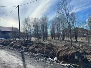 Фото к объявлению #22225994