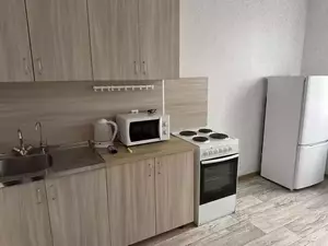 Фото к объявлению #22286655