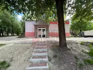 Фото к объявлению #20462033