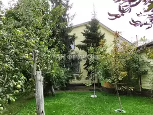 Фото к объявлению #22108008