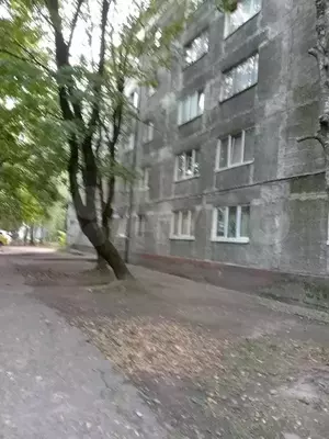 Фото к объявлению #21641565