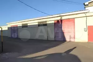 Фото к объявлению #20878891