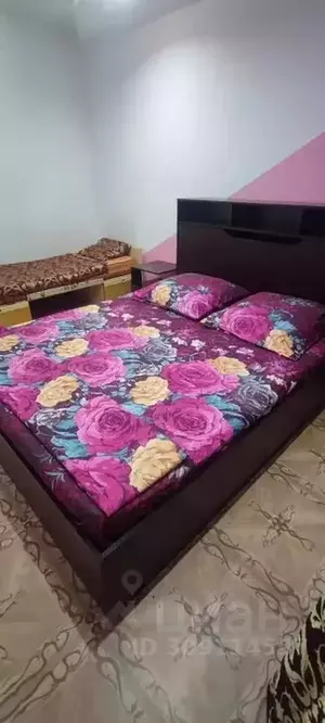 Фото к объявлению #21500456