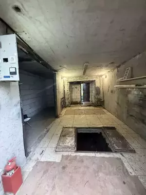 Фото к объявлению #22223961