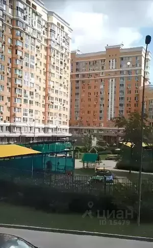 Фото к объявлению #19742521