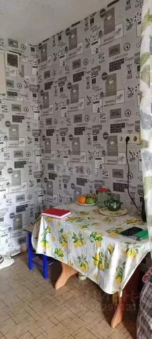 Фото к объявлению #20701153