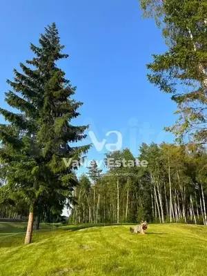 Фото к объявлению #21953547
