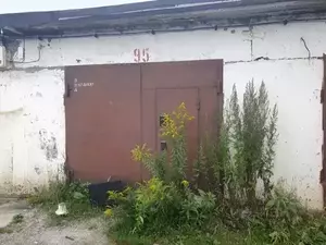 Фото к объявлению #21131283