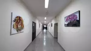 Фото к объявлению #20760530