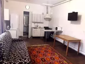 Фото к объявлению #21003103
