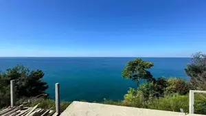 Фото к объявлению #20959420