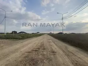 Фото к объявлению #22231556