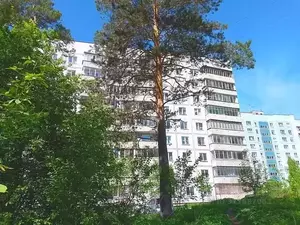 Фото к объявлению #22073601