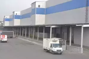 Фото к объявлению #21002053