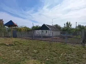 Фото к объявлению #22208347