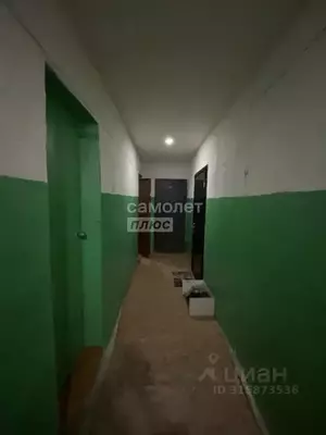 Фото к объявлению #22283842