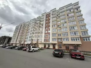 Фото к объявлению #22255210