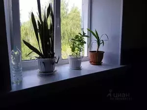 Фото к объявлению #20196911