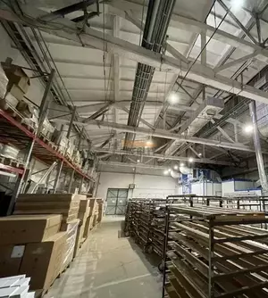 Фото к объявлению #22178968