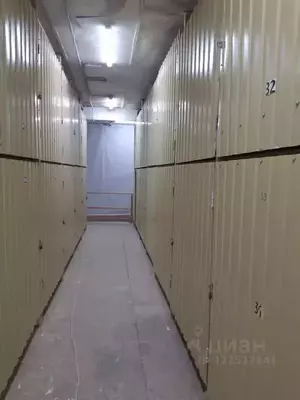 Фото к объявлению #22192058