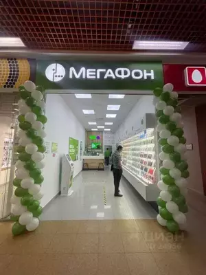 Фото к объявлению #19766039