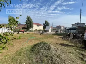 Фото к объявлению #21308699