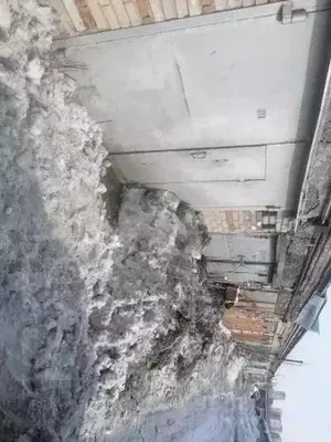 Фото к объявлению #20587041