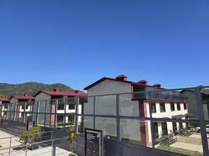 Фото к объявлению #22283548