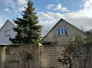 Фото к объявлению #21142566