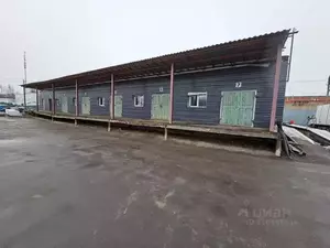 Фото к объявлению #21913829