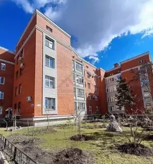 Фото к объявлению #20748476