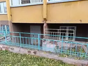 Фото к объявлению #22281993