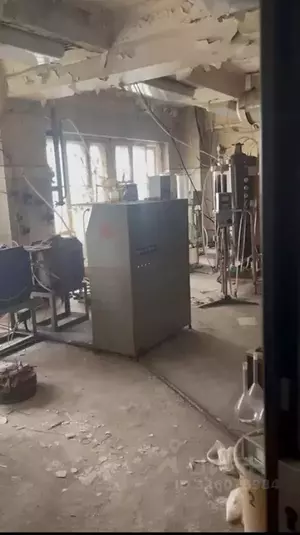 Фото к объявлению #22289218