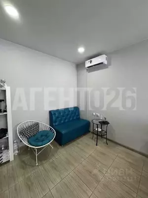 Фото к объявлению #22125672