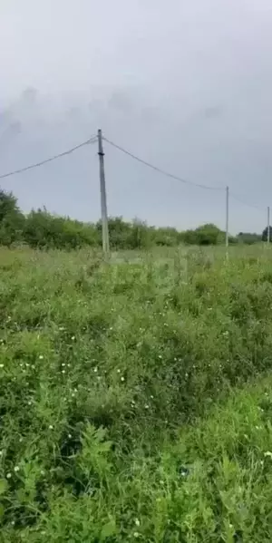 Фото к объявлению #22150535