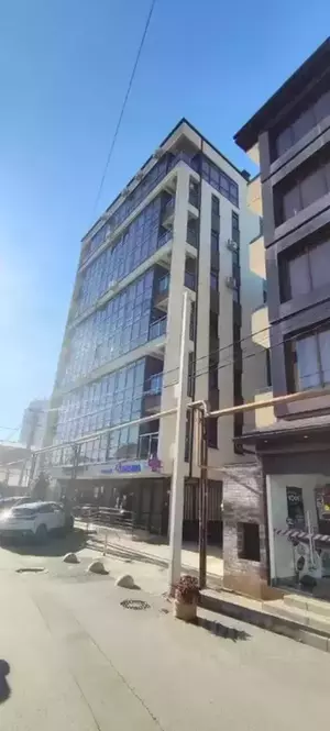 Фото к объявлению #22224308