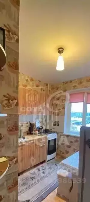 Фото к объявлению #22175084