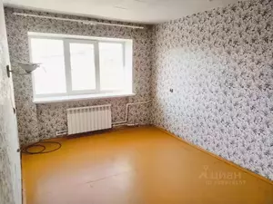 Фото к объявлению #21433331