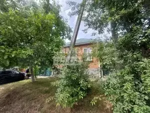 Фото к объявлению #20720307