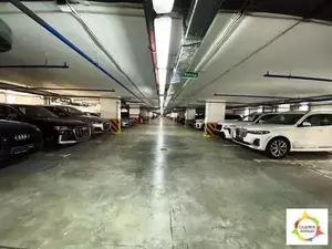 Фото к объявлению #20116278