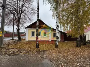 Фото к объявлению #22213294