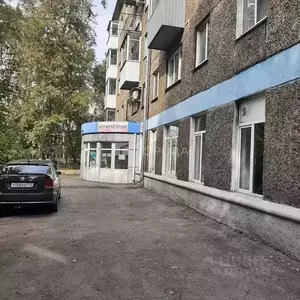 Фото к объявлению #22209756