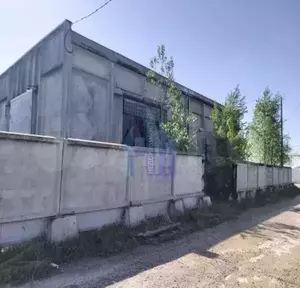 Фото к объявлению #21202532