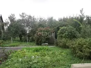 Фото к объявлению #21383636