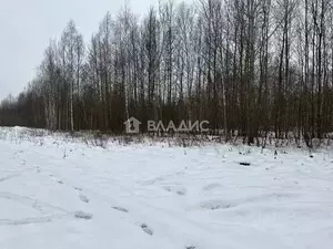 Фото к объявлению #22244283