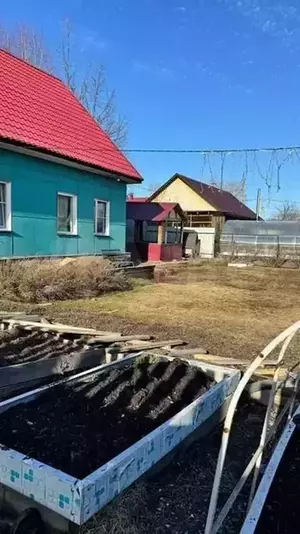 Фото к объявлению #20417029